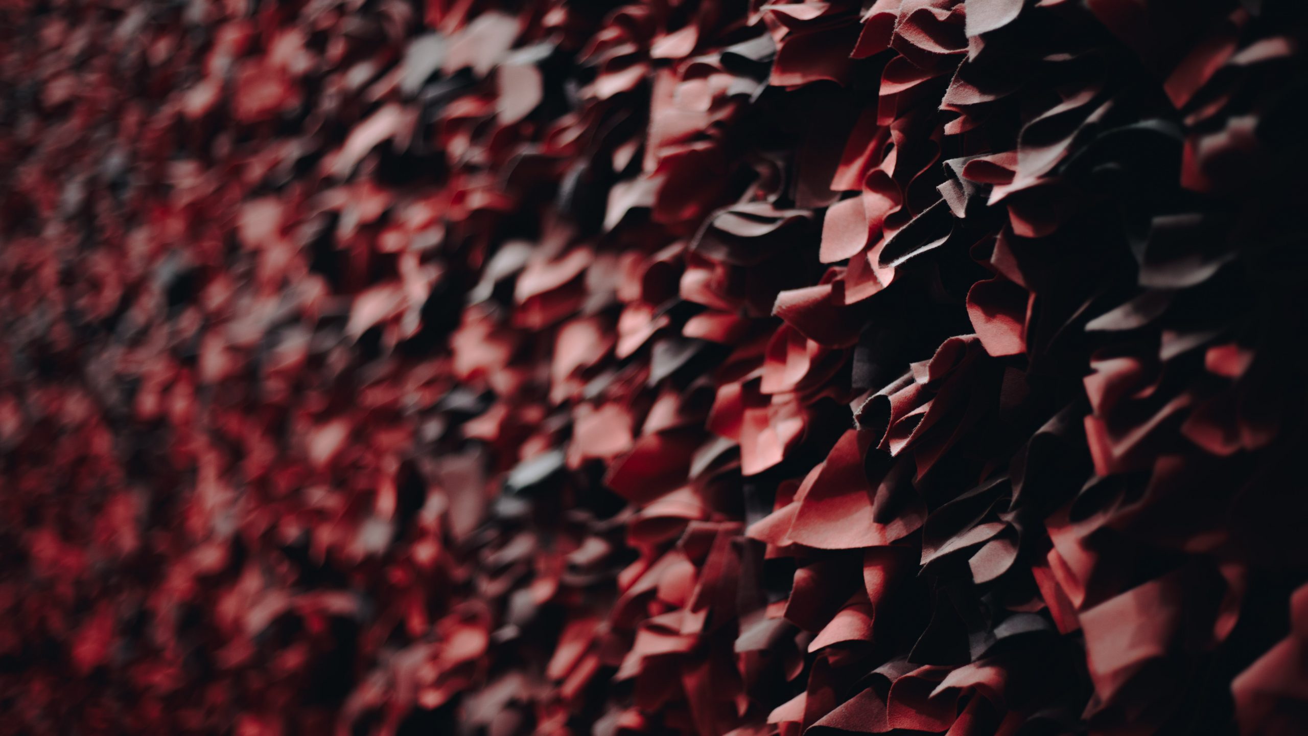 origami como inspiración