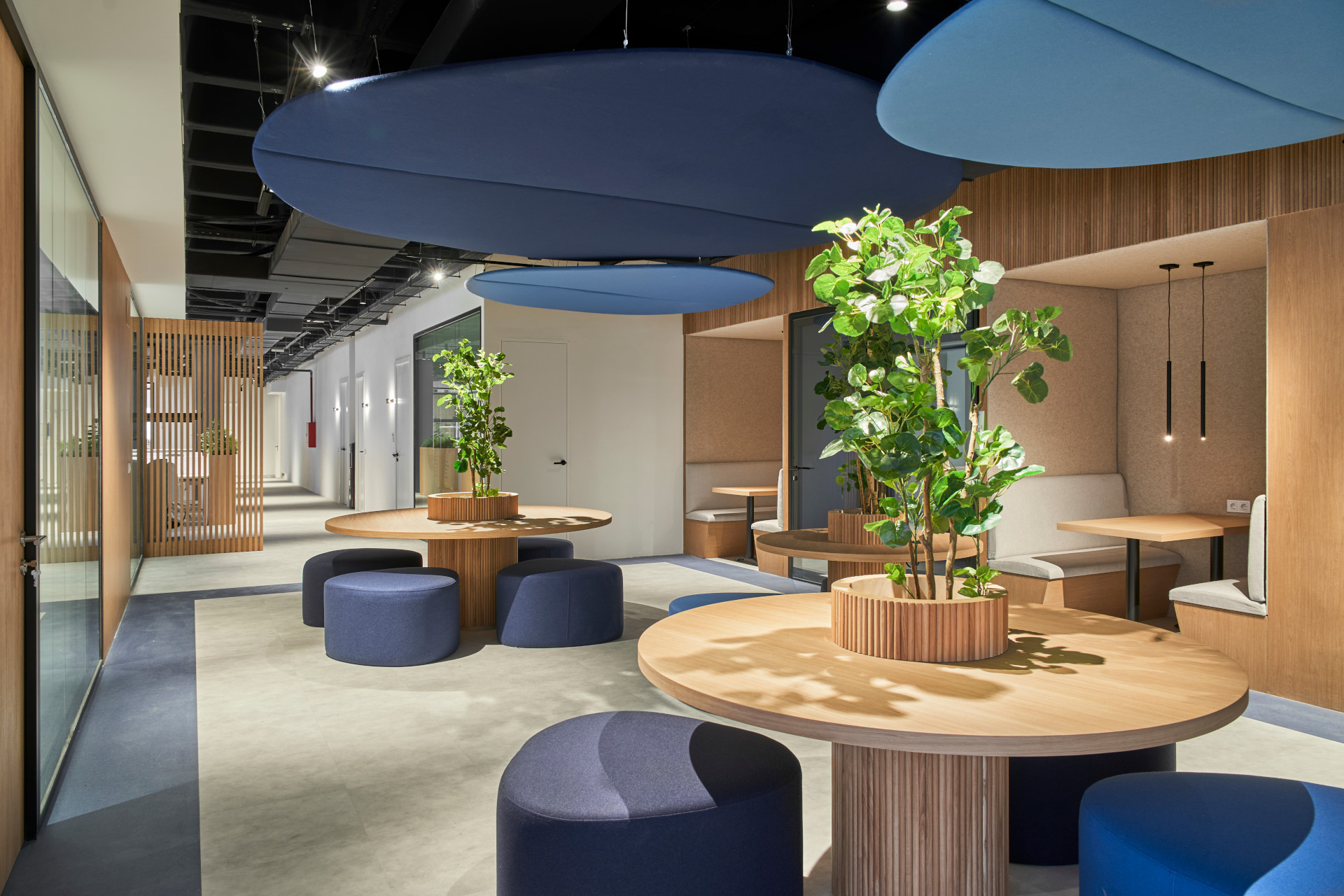 Materio - Diseño y calidad