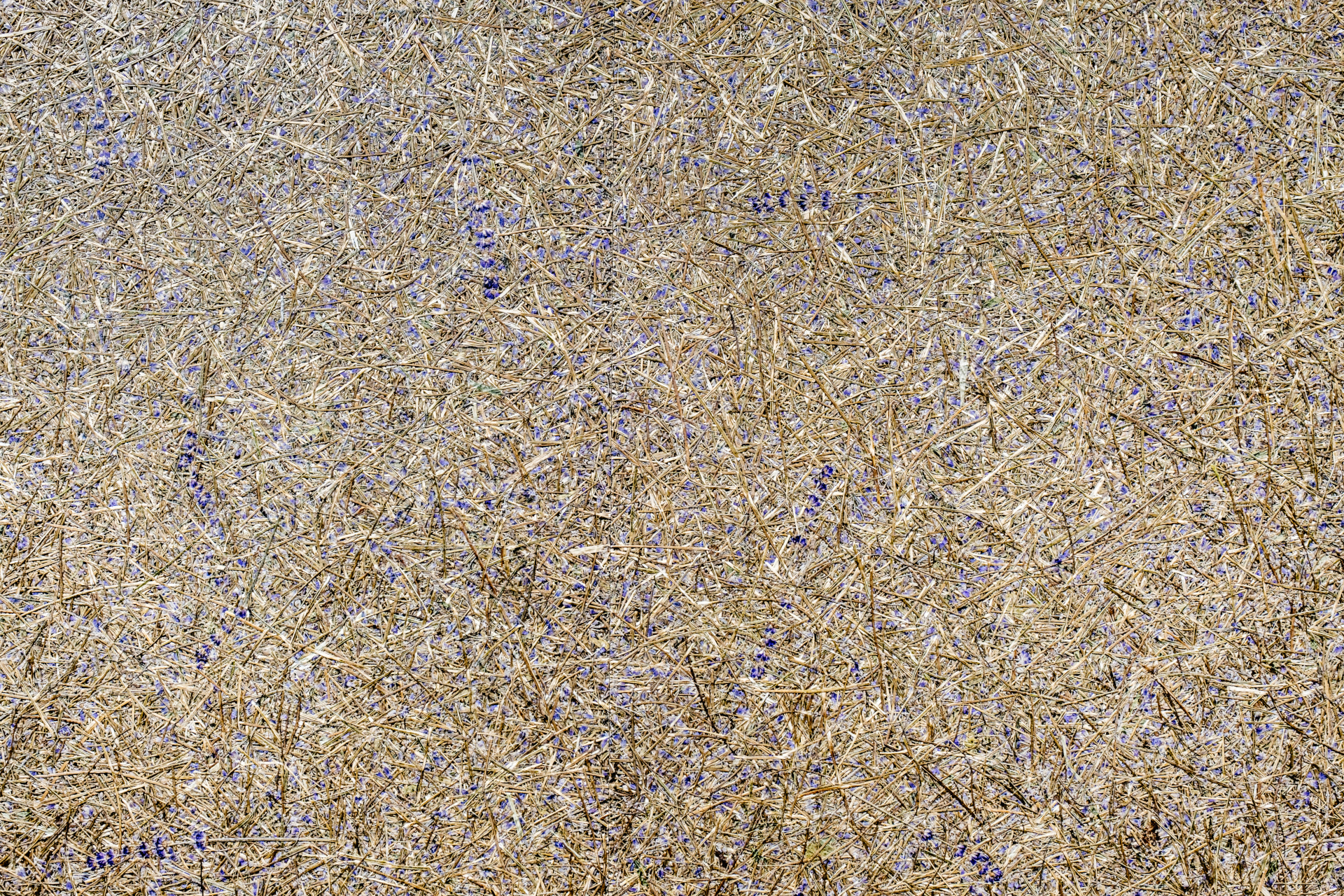 Superficies orgánicas