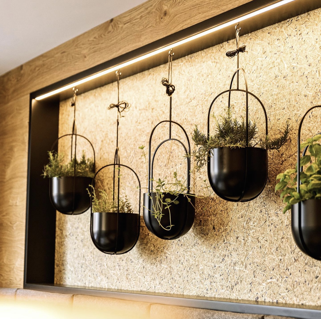 Superficies orgánicas